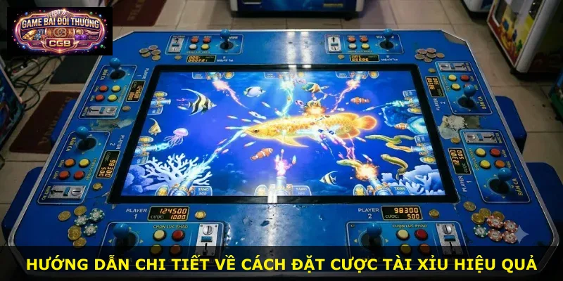 Hướng dẫn chi tiết về cách đặt cược tài xỉu hiệu quả