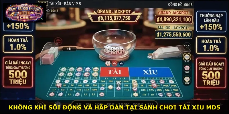 Không khí sôi động và hấp dẫn tại sảnh chơi Tài Xỉu Md5